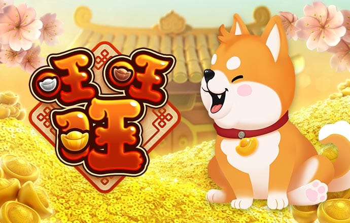 db体育app